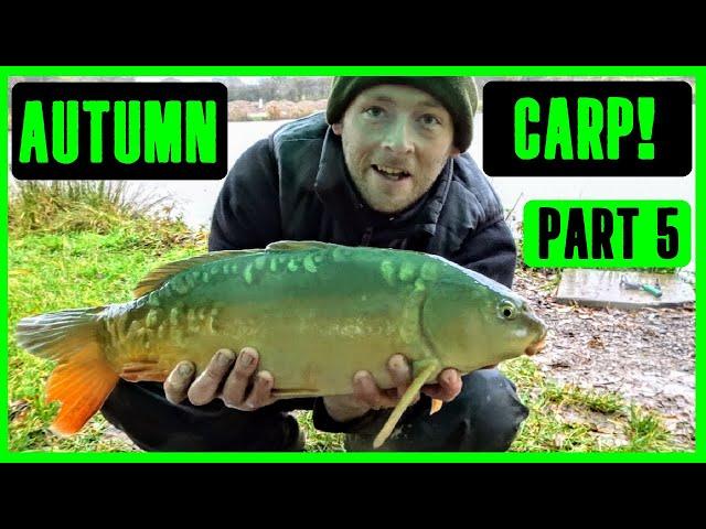 Autumn Carp Fishing - Part 5 - Bagging Up! 