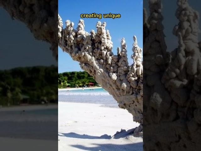 Nature's Secrets | Petrified Lightning (Fulgurites) Phenomenon  #shorts #nature