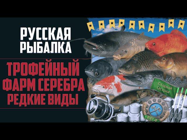 Новый Путь в РР4 #15  Трофейный Клёв | Закрыл Старый Острог | Редкие Виды и Новые Снасти на Медное