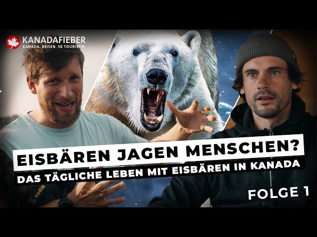 Unter Eisbären! Lebensgefahr?! | Folge 1 | EXPEDITION MANITOBA | WILDLINGZ