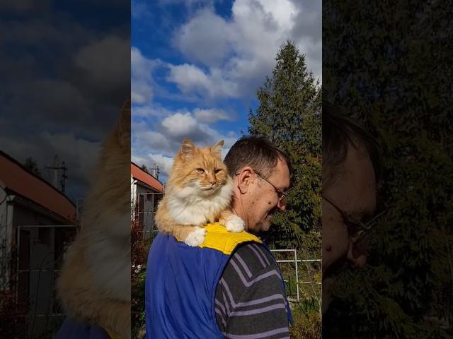 Переезд на юг#жизньнаморе