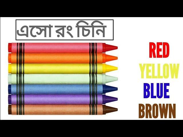 Colors Learning|এসো রং চিনি| Colors for kids| Colors learning Video| Colors learn English