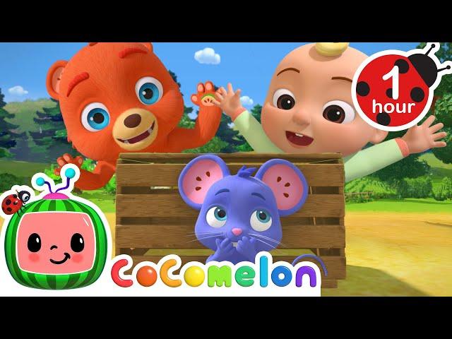 Peek-a-Boo Fun with JJ, Boba, Mimi & Tori!  | Hide-and-Seek Adventure! | Cartoons for Kids