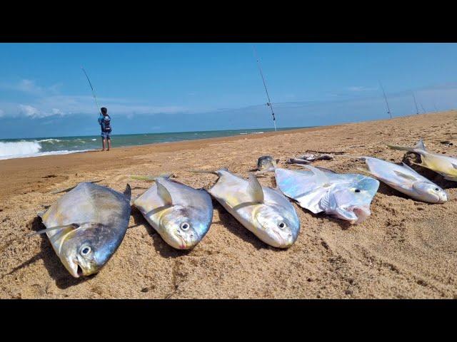 PESCA DE PRAIA usando ISCA NATURAL com ATRATIVOS flutuantes!!! PESCAMOS e COMEMOS - catch and cook.