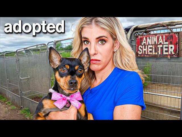 We Adopted a Dog No One Wanted