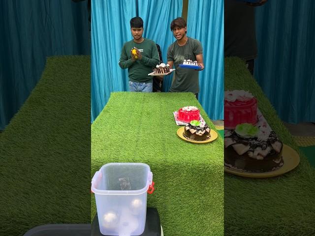 Best boll roll win cake  family challenge #shorts #game