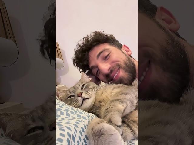 Her reaction surprised me #funny #cat #kitten #love #catlover #cute #happy #fyp #youtube