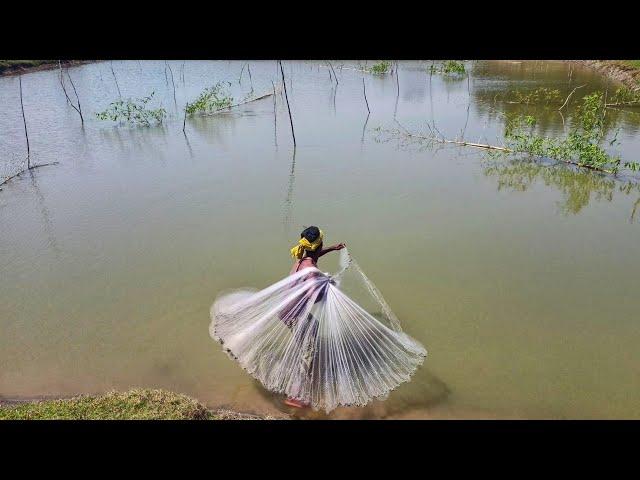 Amazing Net Village Fishing By In River With Beautiful Village Fishing Video