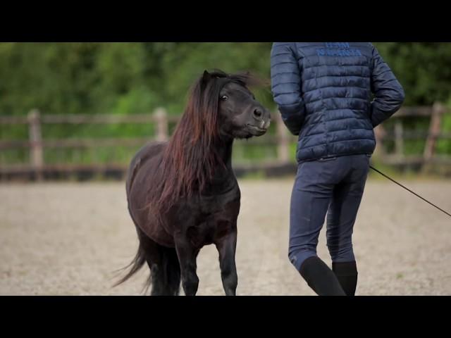 THIS FRIENDSHIP DOESN’T KNOW A SIZE -    Macho & Jesse Drent