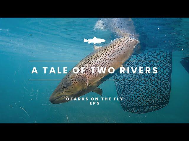 Ozarks on the Fly | EP 5 | A TALE OF TWO RIVERS