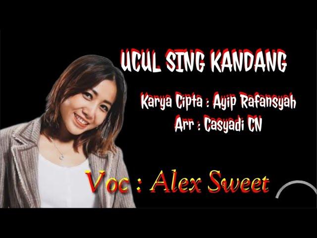 Alex Sweet | Ucul Sing Kandang | Tarling [Official Video Lyric]