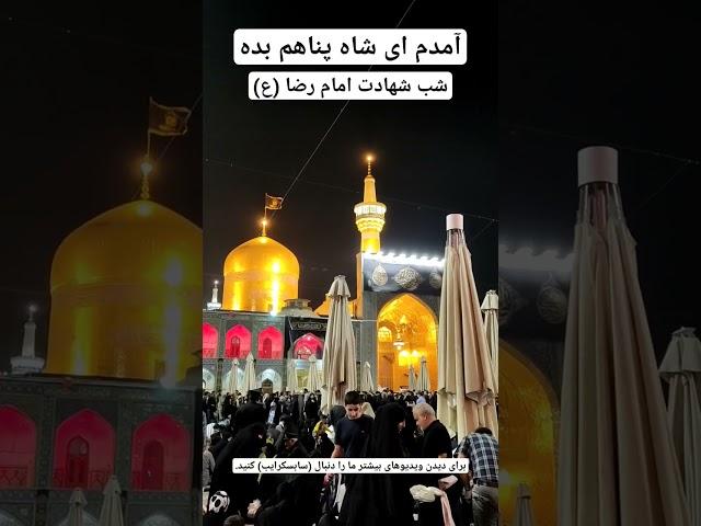 شعر زیبای آمدم ای شاه پناهم بده در حرم امام رضا (ع) #حرم #امام_رضا #مشهد #imamreza  #mashhad