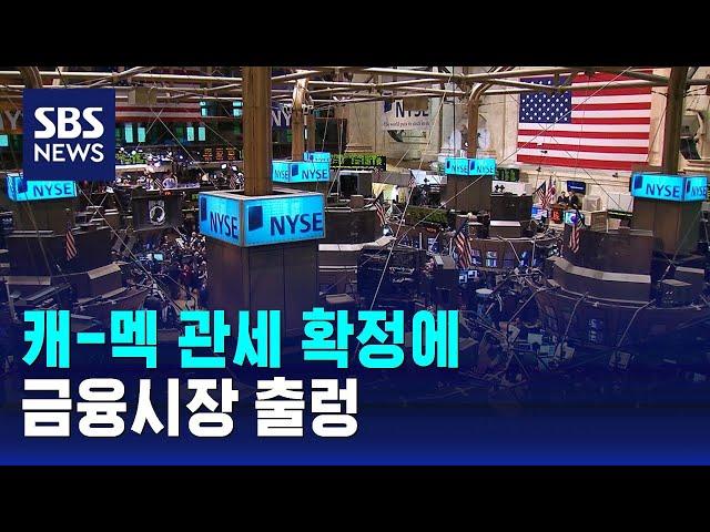 캐-멕 관세 확정에 금융시장 출렁 / SBS