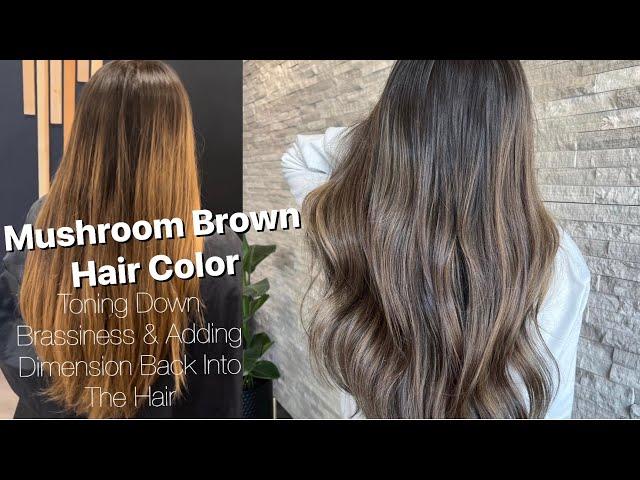 MUSHROOM BROWN | Toning Down BRASSY Hair & Adding DIMENSION