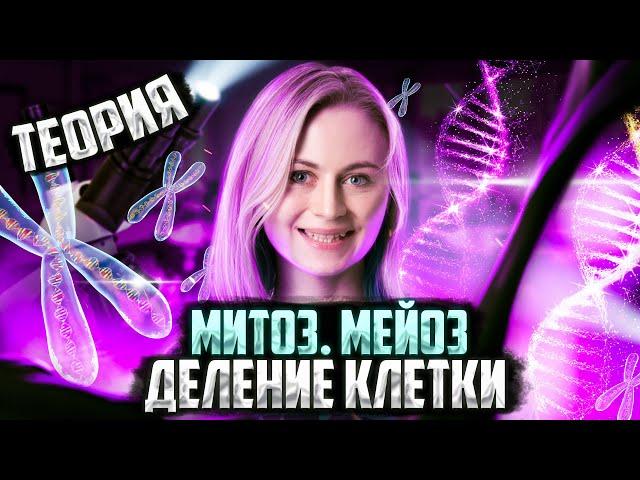 «Деление клетки. Митоз. Мейоз» | Теория | Биология ЕГЭ — Напольская Ксения