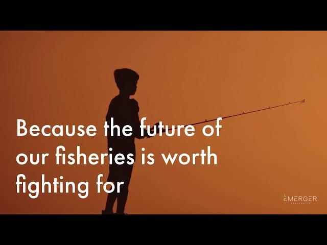 Emerger Strategies:  Protect What You Love