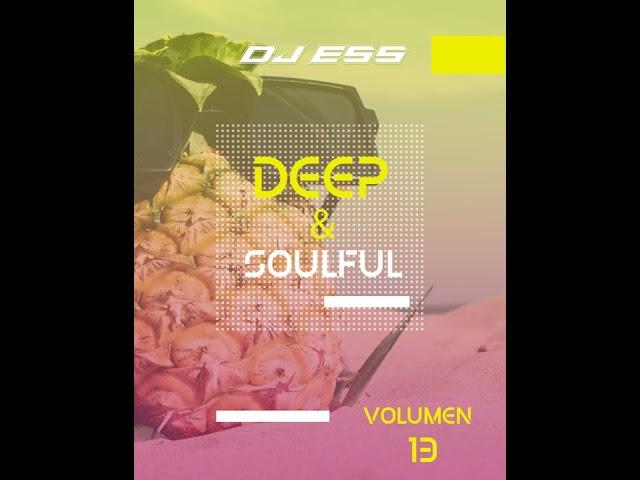 DJ ESS @ DEEP & SOULFUL VOL.13