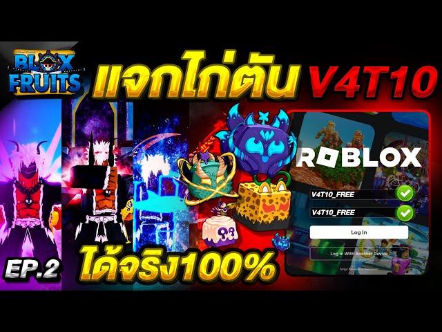 Blox Fruits แจกไอดีไก่ตัน เผ่า V4T10 ฟรี มีผลพระตื่น โคตรตึง!! สายฟรี ห้ามพลาด!!EP.2