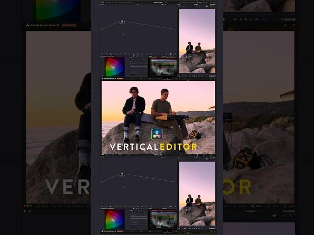 Vertical editing layout in DaVinci Resolve 20
