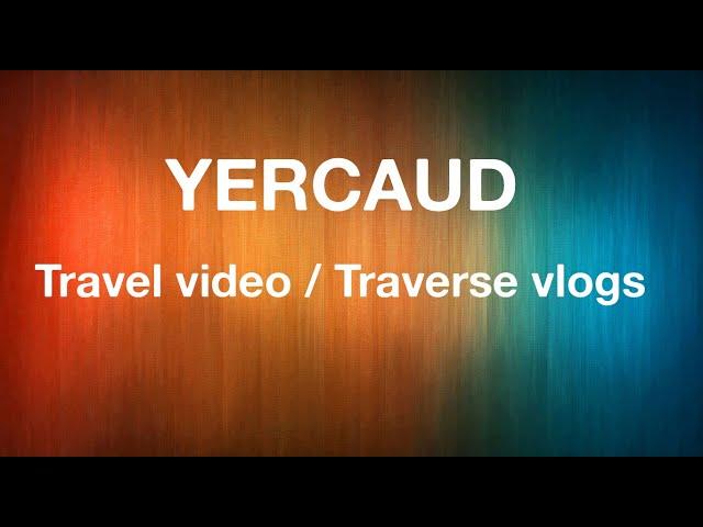 Yercaud | Tree house stay|Traverse vlogs #tippearyestate #yercaudTourism  #Tamilnadutourism