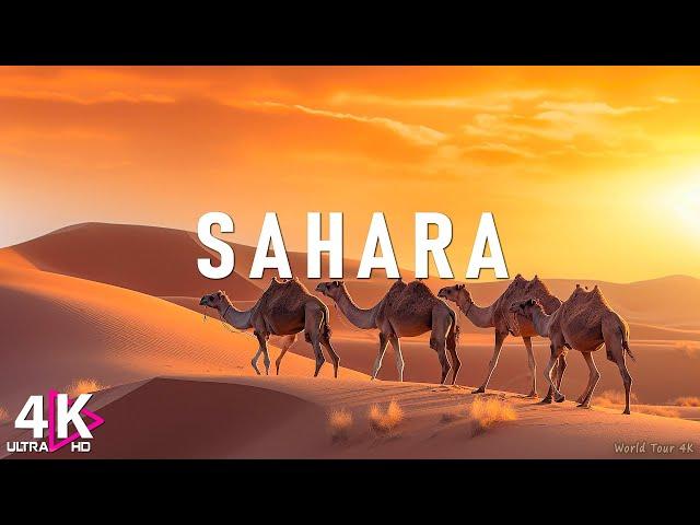 The Sahara 4K - Scenic Relaxation Film With Calming Music