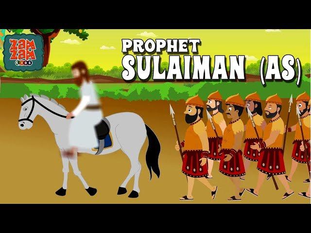 Quran Stories In English | Prophet Sulaiman (AS) | English Prophet Stories | Quran Cartoon