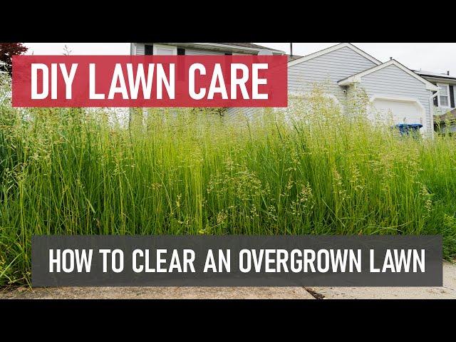 How to Clear an Overgrown Lawn [DIY Lawn Care]