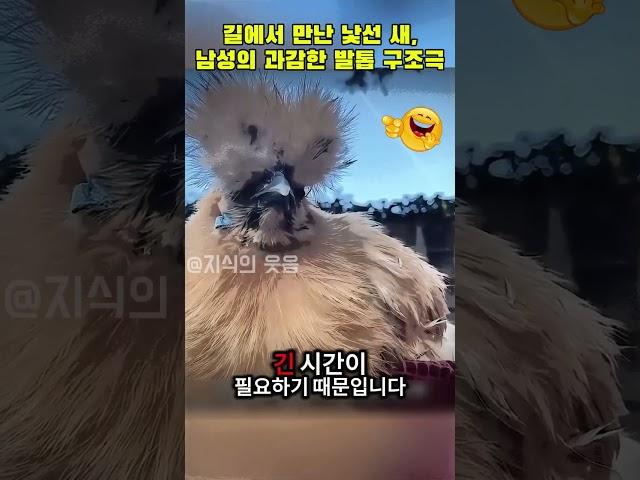 길에서 만난 낯선 새, 남성의 과감한 발톱 구조극 #동물구조 #야생다큐