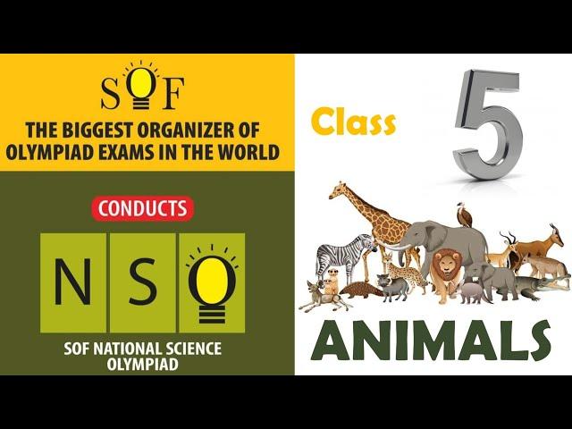 NSO National Science Olympiad Class 5 | Animals