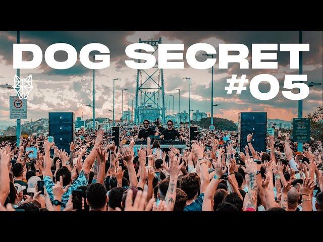 Dubdogz - DOG SECRET - #05 (Ponte Hercílio Luz | Floripa - SC)