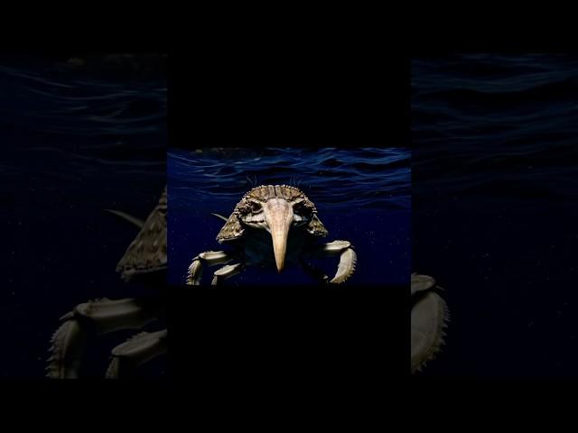 Is this a crab? #hailuoai #horror #terror #nature #wildlife #ocean #crab