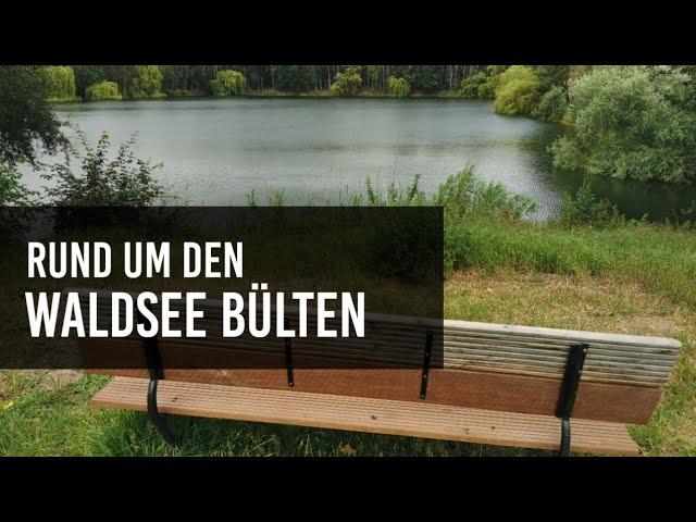 Rund um den Waldsee Bülten