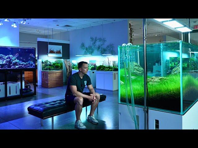 THE BEST AQUARIUM GALLERY IN THE WORLD? Full Tour Of ADG In Houston Texas