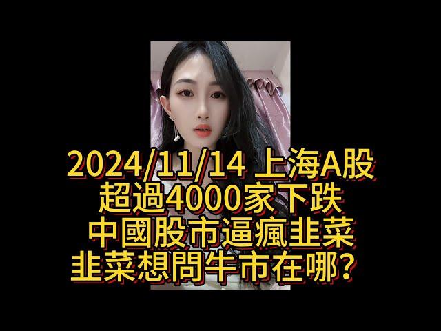 2024/11/14 上海A股，超過4000家下跌，中國股市逼瘋韭菜，韭菜想問牛市在哪？