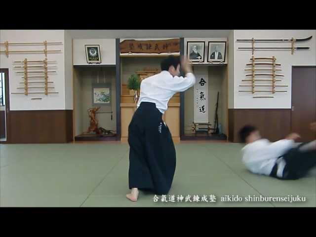 連続技 合気道技まとめ02 神武錬成塾　aikido shinburenseijuku