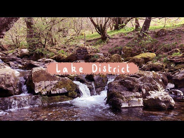 Lake District | Beatrix Potter, Aira Force, Derwent Pencil Museum & Reconnecting With Nature 