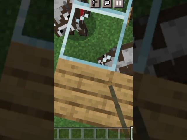 SAD STORY#bebu #pinpong #minecraftshorts #shorts #GEVids