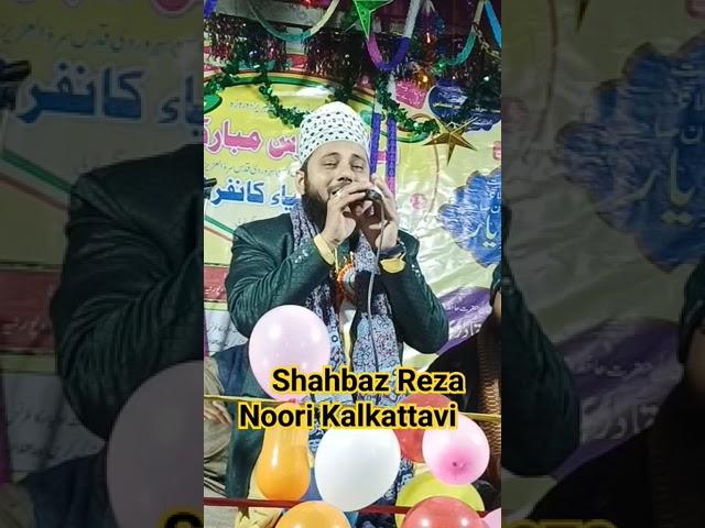 Shahbaz Reza Noori Kalkattavi #shorts