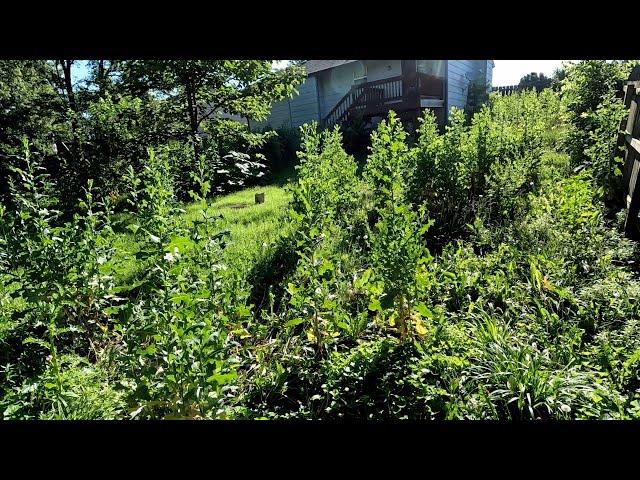 SHOCKING Backyard TRANSFORMATION For ELDERLY Woman Who Couldn't Find Anyone To Mow Her LAWN