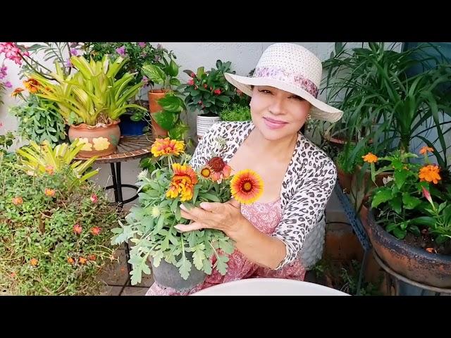 My Plants Exploded With Flowers After I Applied My Homemade Organic Fertilizer, Gardening