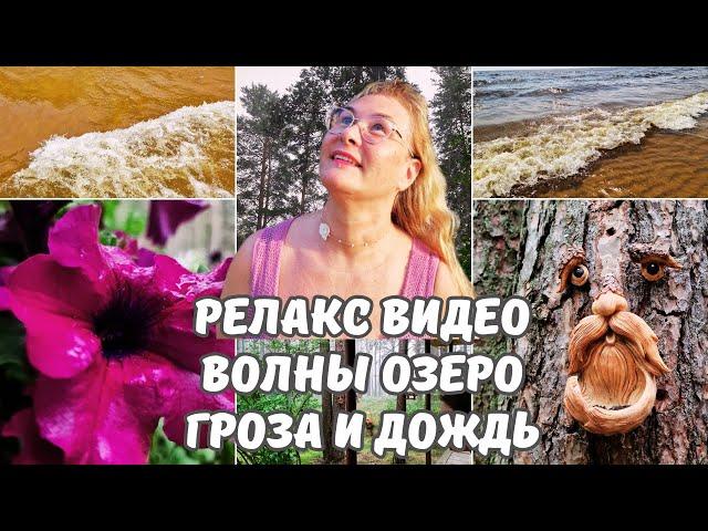 Релакс видео.Шум волн.Чудское озеро в Эстонии.Природа.Гроза и дождь в лесу видео