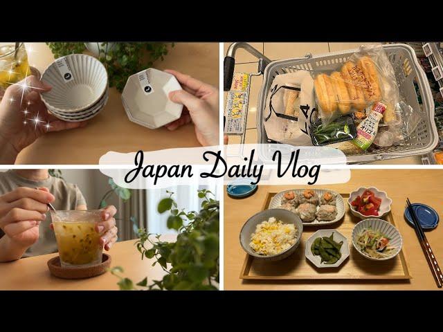 window shopping at goodies store, new tableware, Tofu Shumai for dinner | living in japan