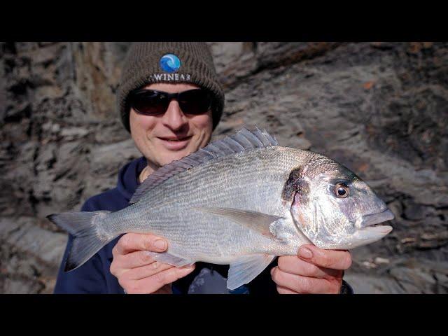 Early Season Gilthead Bream and Bass Fishing on the North Coast of Cornwall with Ben Conway