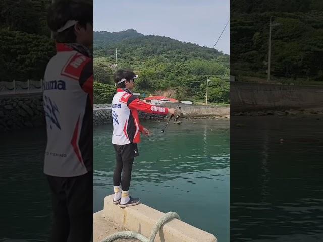 슬슬 에깅 몸풀기..어색하네~#지형제#바다루어낚시#RAPALA #131에깅0.5호#남해#귀수에기#귀수#무늬오징어#루어낚시#무늬오징어낚시#에깅 #에깅낚시#eging