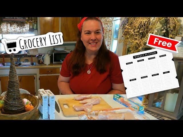 Tight Budget Grocery Haul\ Weekly Meal Planner