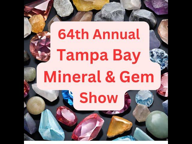 64th Annual Tampa Bay Mineral and Gem show November 2023, new minerals discovered