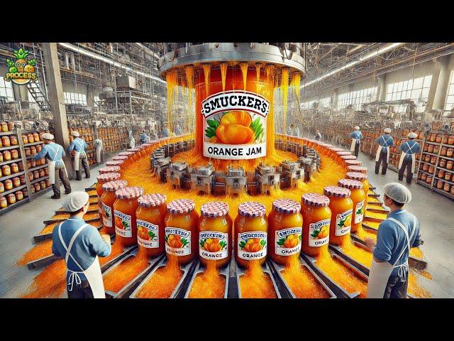 Orange Jam Mega Factory: Processing Millions Of Orange Jam Jars in Factory