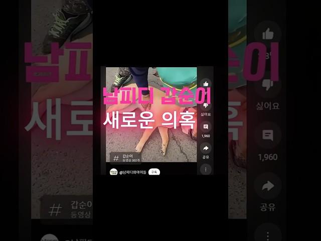 남피디와아이들 갑순이 죽음 의혹 결국 사실로 밝혀져