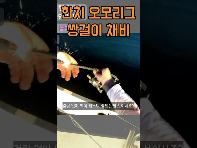 한치 쌍걸이채비 #한치낚시 #낚시 #한치채비