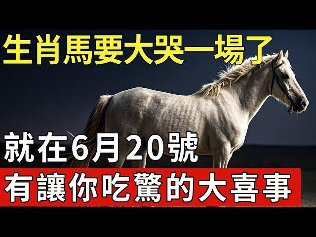 生肖馬準備大哭一場吧！就在6月20號，將會有讓你吃驚的大喜事發生，家有屬馬的快來接喜了！【福運生肖】#生肖 #命理 #運勢 #屬相 #風水
